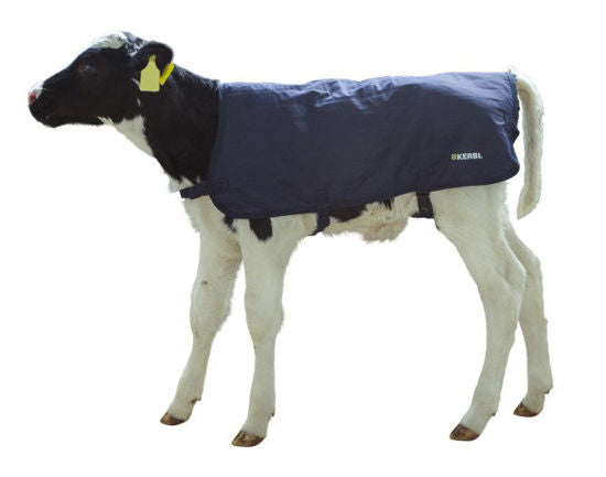 Load image into Gallery viewer, Abi kalverdek easywear blauw 70cm
