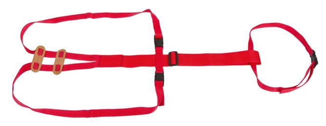 Laden Sie das Bild in Galerie -Viewer, Producten lijfbieder bandage prolapsbandage voor schapen