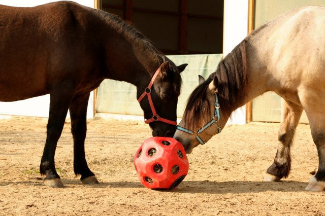 Load image into Gallery viewer, Voederspeel bal rood