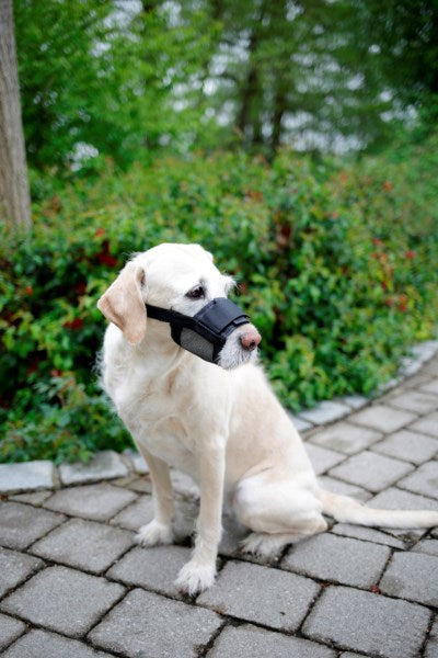 Afbeelding laden in galerijviewer, Producten nylon muilkorf hond mt l zwart