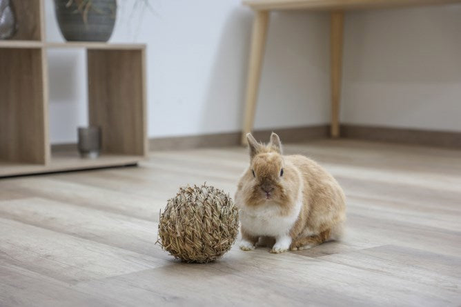 Load image into Gallery viewer, Kerbl producten grasbal oe 13 cm