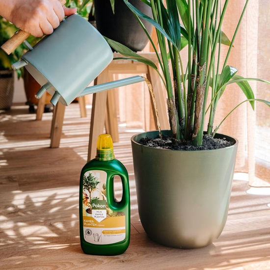 Load image into Gallery viewer, Pokon kamerplanten voeding 1l