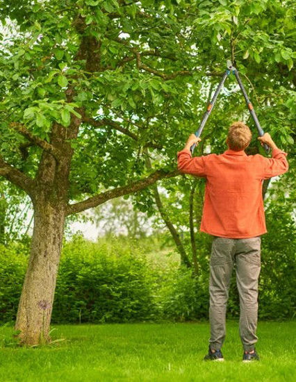 Load image into Gallery viewer, Gardena takkenschaar telecut pro l