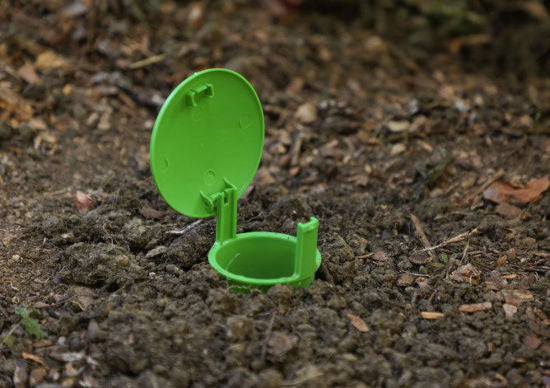 Load image into Gallery viewer, Slakkenval snailbowl 15cm