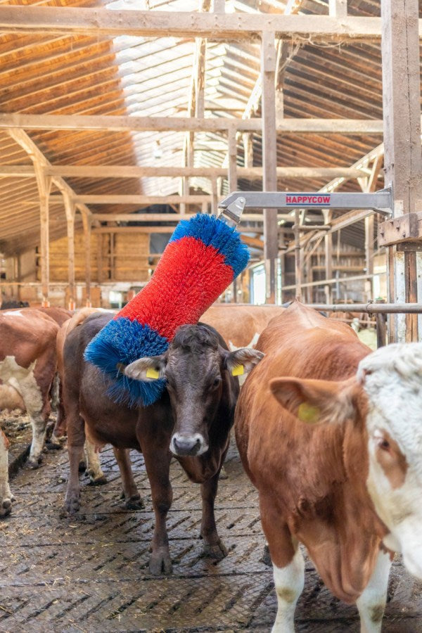 Load image into Gallery viewer, Happycow veeborstel freemaxi