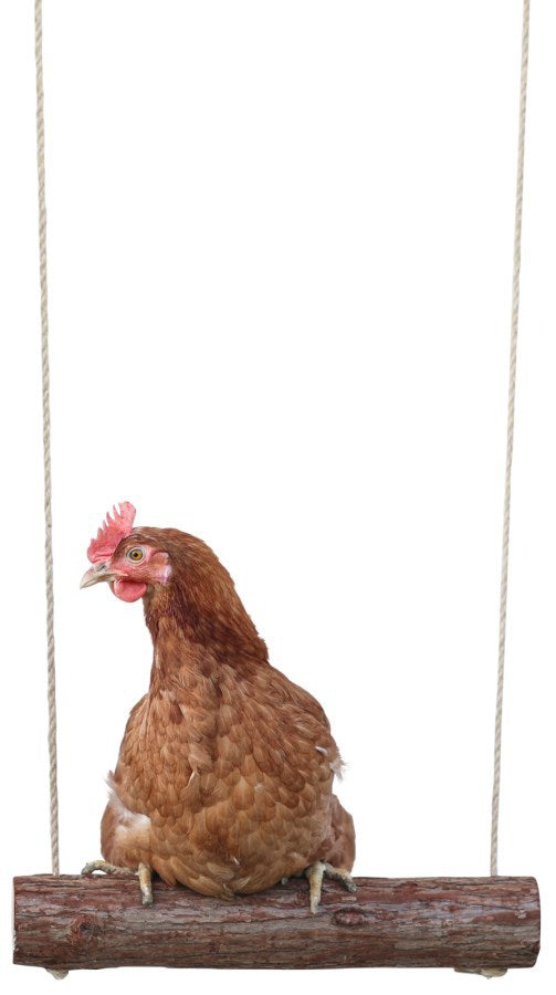 Load image into Gallery viewer, Kerbl producten kippenschommel 39 x oe 5cm