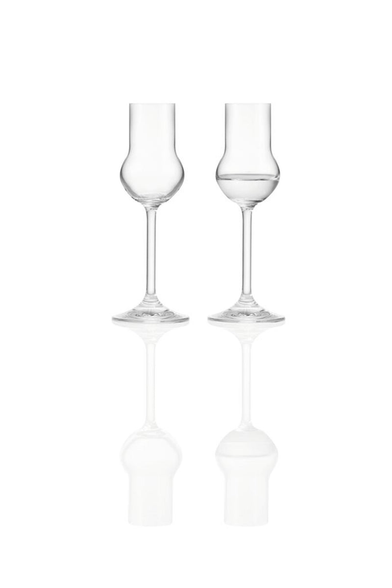 Load image into Gallery viewer, Montana pure likeurglazen 6st 60ml