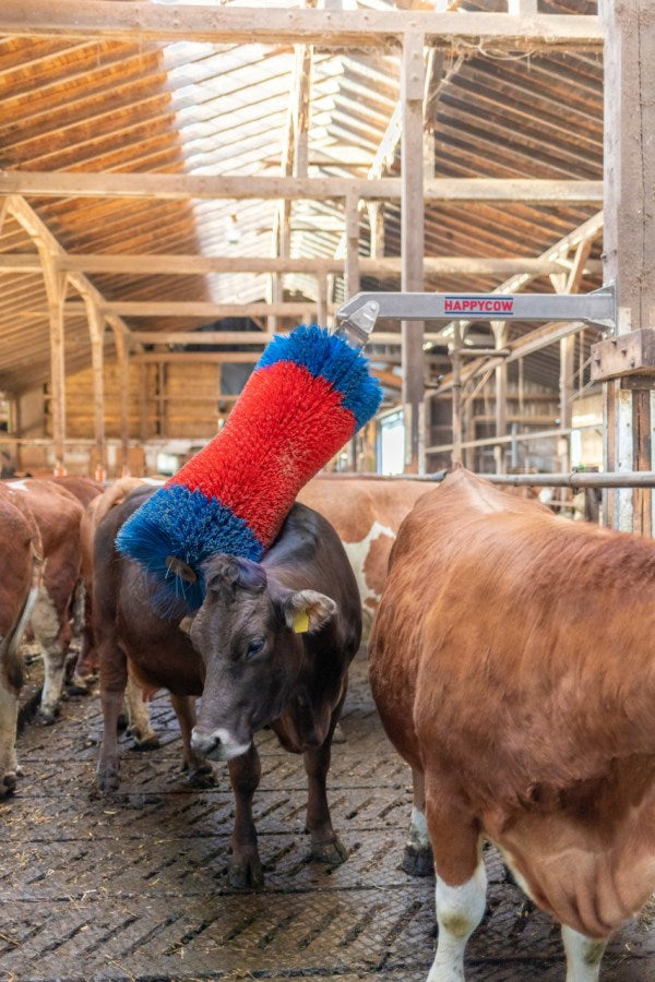 Load image into Gallery viewer, Happycow veeborstel freemaxi