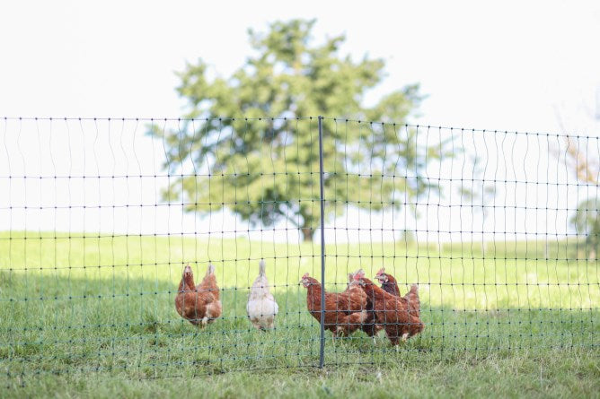 Load image into Gallery viewer, Ako producten poultrynet premium niet elektrificeerbaar 50m enkele pen