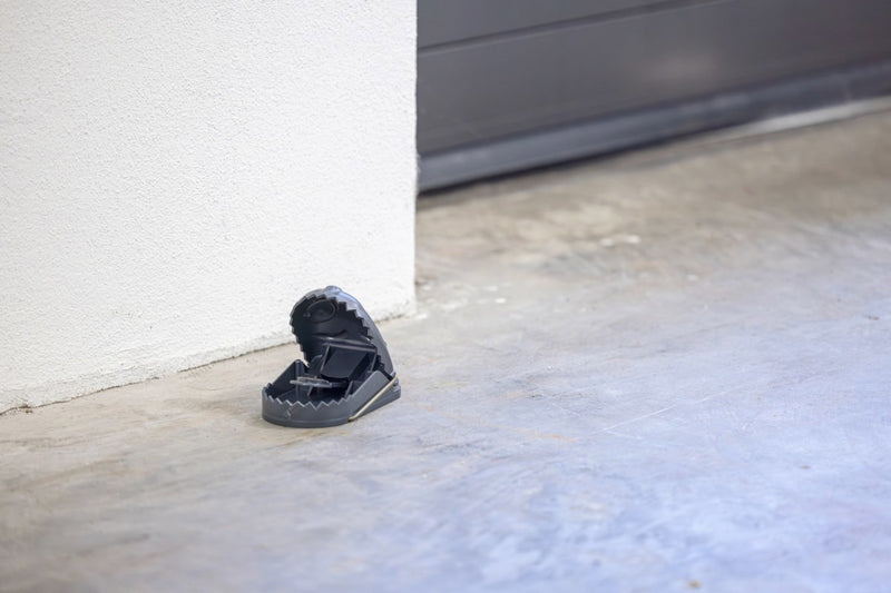 Load image into Gallery viewer, Producten rattenval kunststof cit starratstopstar