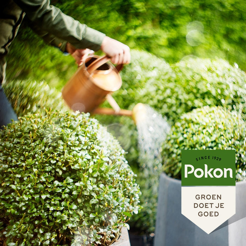Load image into Gallery viewer, Pokon bio buxus ilex voeding 500 ml