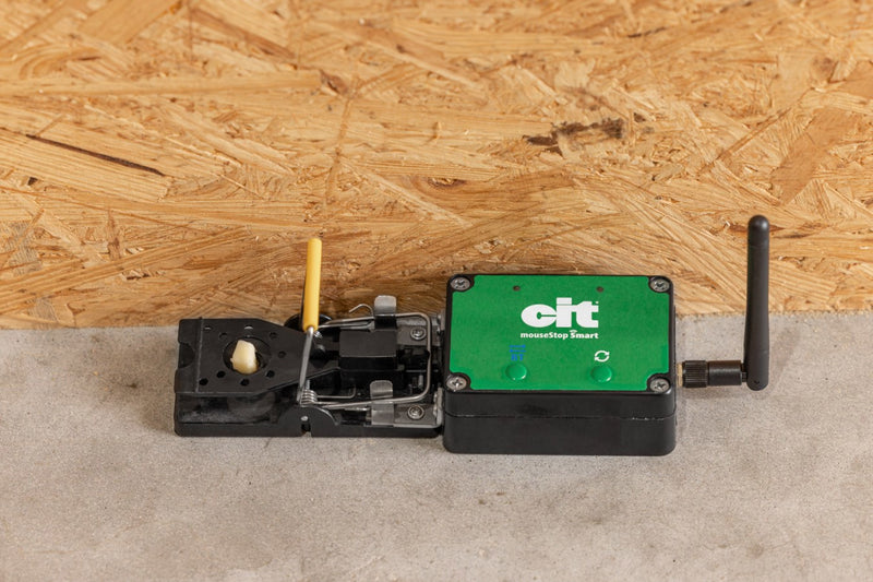 Load image into Gallery viewer, Producten muizenval smart cit mousestop