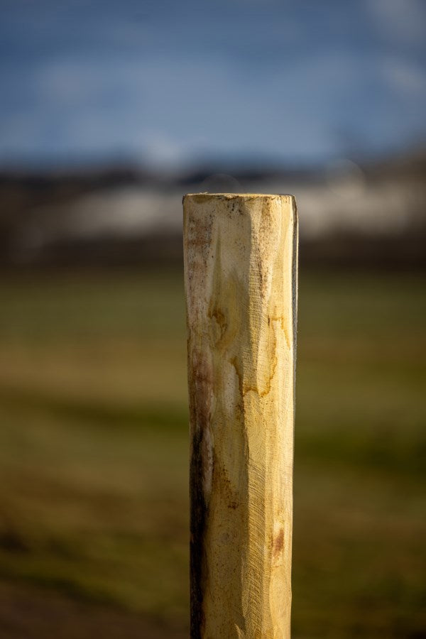 Load image into Gallery viewer, Ako producten robiniapaal hoek 250cm hoog oe 14 16cm
