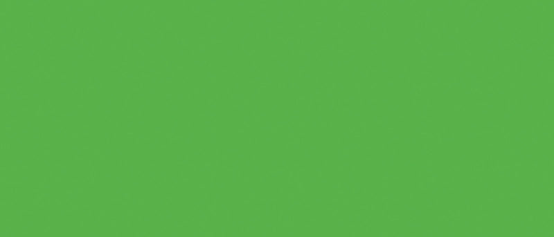 Load image into Gallery viewer, Tsukineko • radiant neon stempelkussen electric green