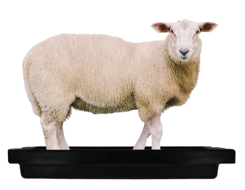 Load image into Gallery viewer, Imp producten klauwbad supercombi mini 120x40x18cm 50l schaap