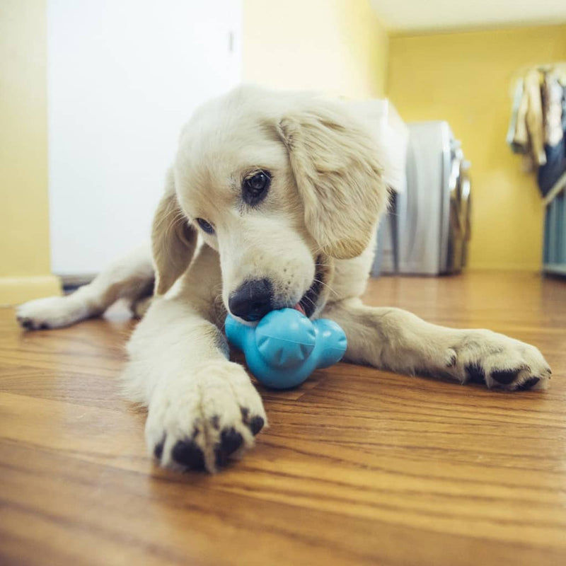 Load image into Gallery viewer, West Paw West Paw Hondenspeelgoed met Zogoflex Tux S aquablauw