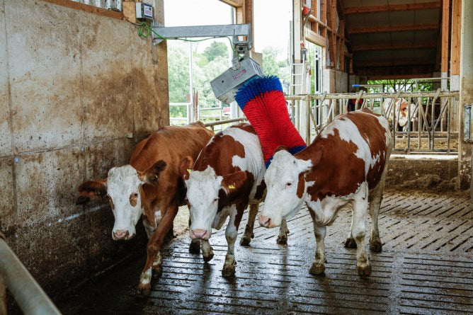Load image into Gallery viewer, Happycow koeborstel maxiswing