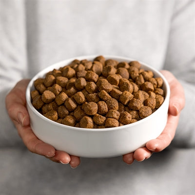 Load image into Gallery viewer, Smolke Hond adult graanvrij