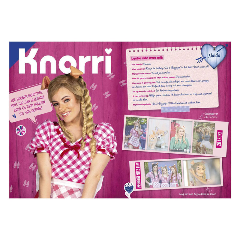 Afbeelding laden in galerijviewer, K3 : 3 biggetjes fanboek met stickers