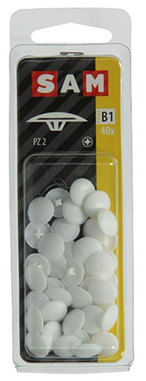 Afbeelding laden in galerijviewer, Mack 1017394 - afdekkapje vr pz schr.kunstst.wit 40 st pz 2 | 10 stuks