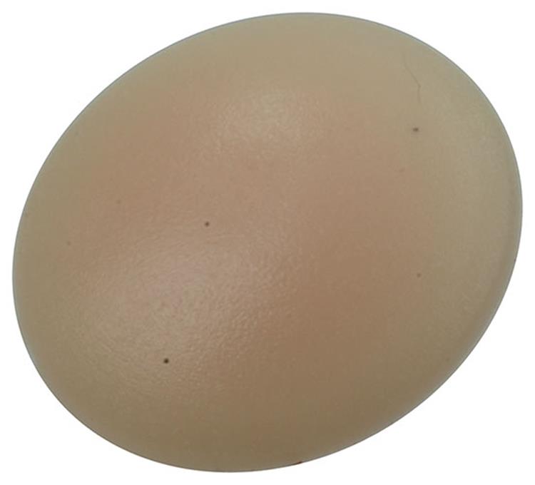 Afbeelding laden in galerijviewer, Mack 1017395 - afdekkapje vr pz schr.kunst. beige 40 st pz 2 | 10 stuks