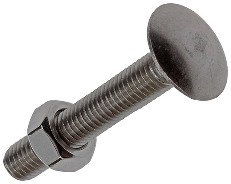 Afbeelding laden in galerijviewer, Mack 1019916 - houtbout + moer roestvrijstaal 3 st m8 x 50 mm | 5 stuks