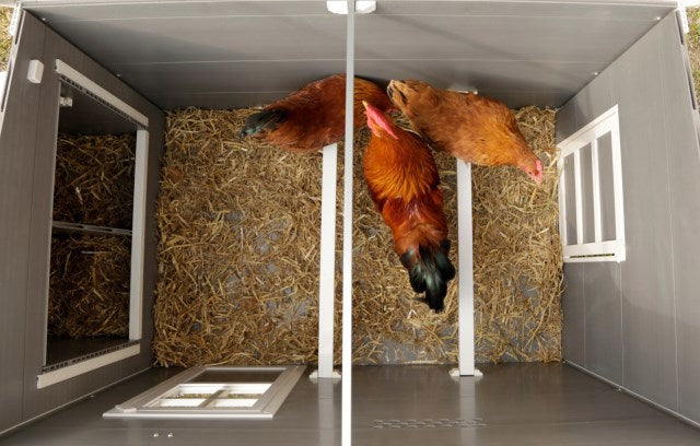 Load image into Gallery viewer, Kippenhok eco stal kunststof barney