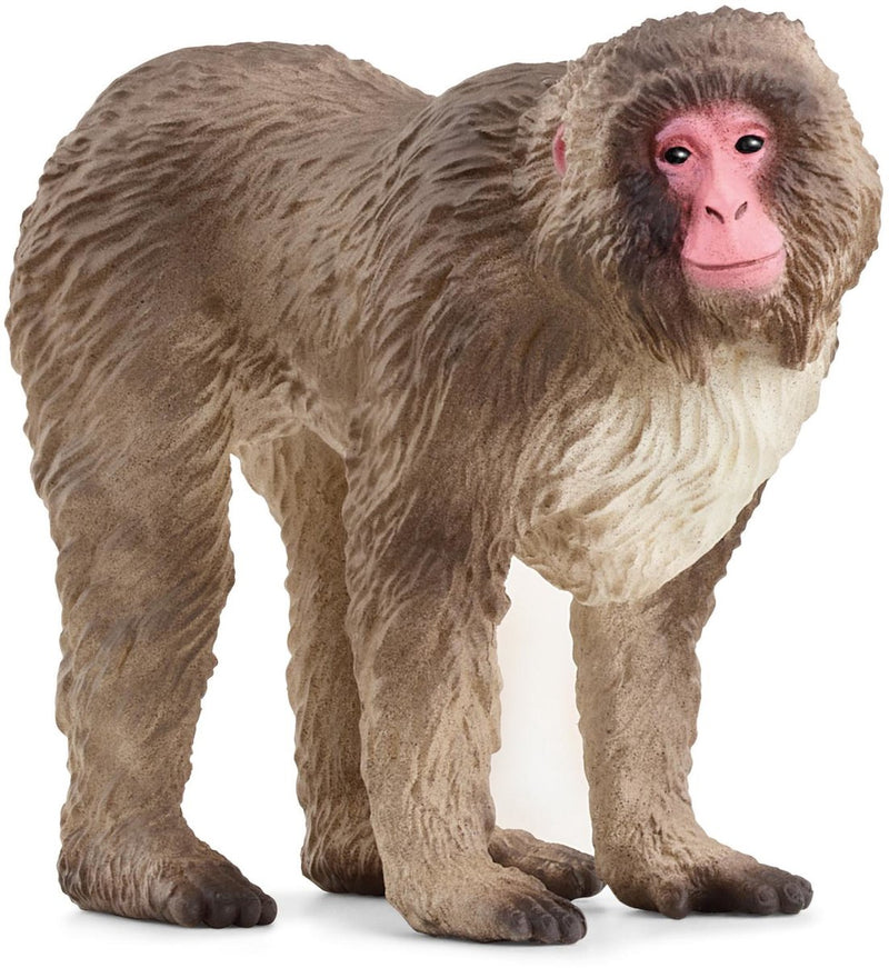 Chargez l'image dans la visionneuse de la galerie, Schleich wild life japanse makaak 14871