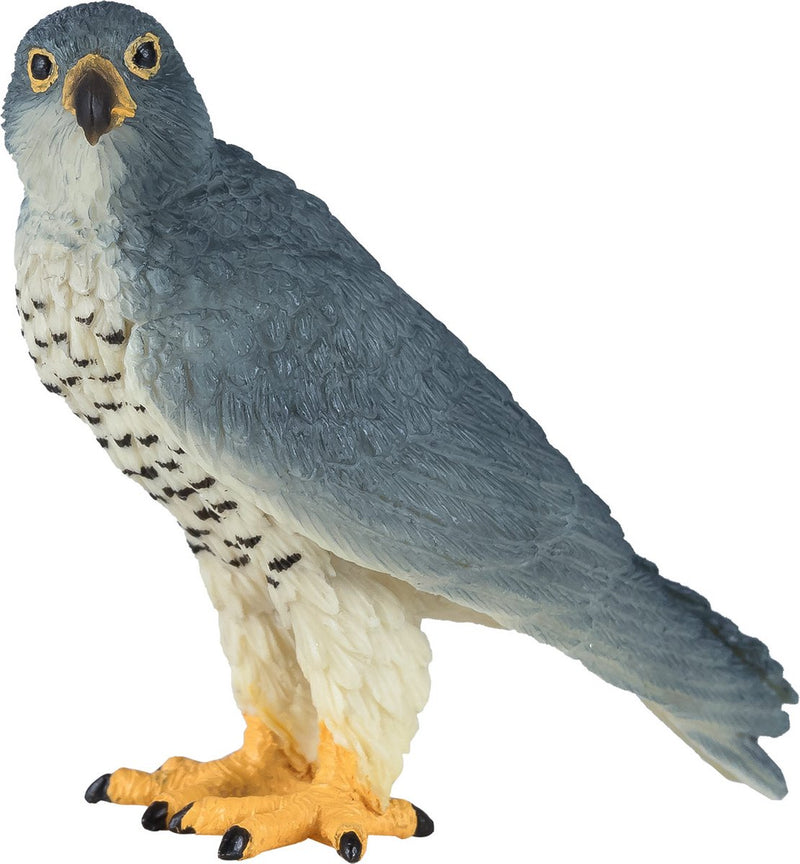 ギャラリービューアに画像をロードする, Mojo wildlife slechtvalk - 381056