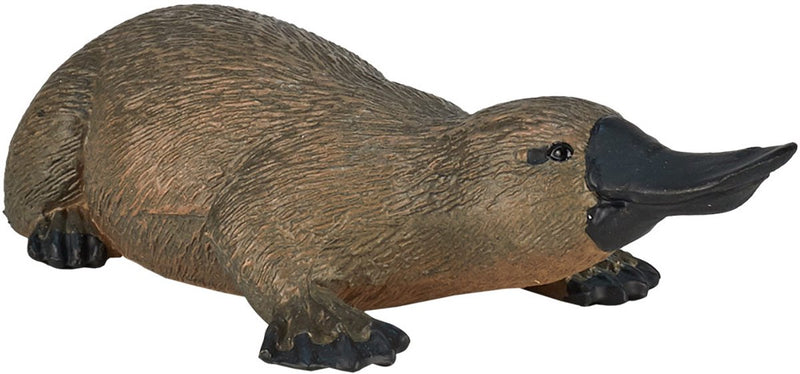 ギャラリービューアに画像をロードする, Mojo wildlife vogelbekdier - 387106