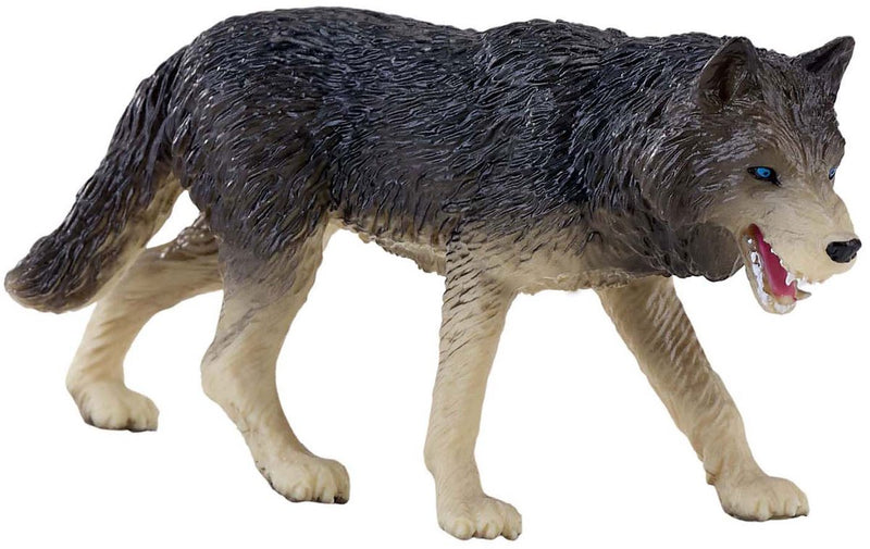 ギャラリービューアに画像をロードする, Mojo wildlife timber wolf - 381098