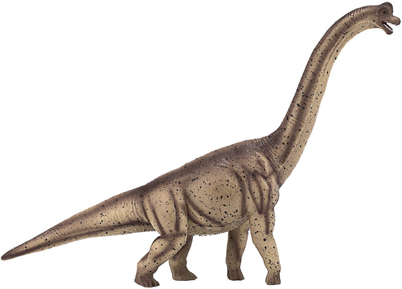 ギャラリービューアに画像をロードする, Mojo prehistorie deluxe brachiosaurus - 387381