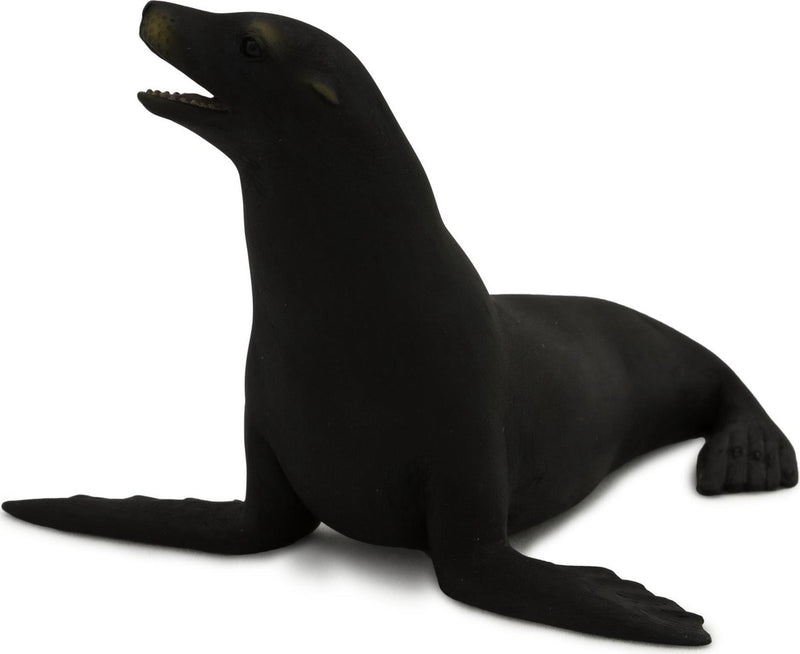 ギャラリービューアに画像をロードする, Mojo sealife californische zeeleeuw - 387115