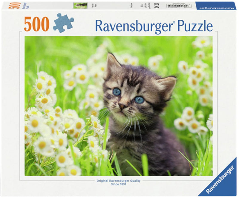 Afbeelding laden in galerijviewer, Ravensburger puzzel katje in de wei - legpuzzel - 500 stukjes