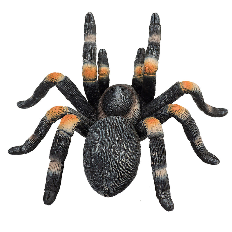 ギャラリービューアに画像をロードする, Mojo wildlife rode tarantula - 387213