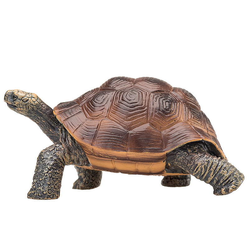 ギャラリービューアに画像をロードする, Mojo wildlife reuzenschildpad - 387259