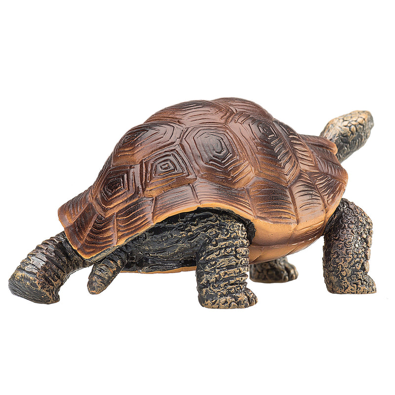 ギャラリービューアに画像をロードする, Mojo wildlife reuzenschildpad - 387259