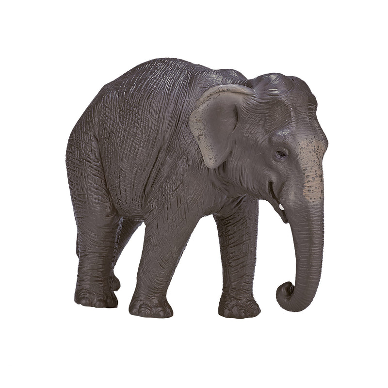 ギャラリービューアに画像をロードする, Mojo wildlife aziatische olifant - 387266