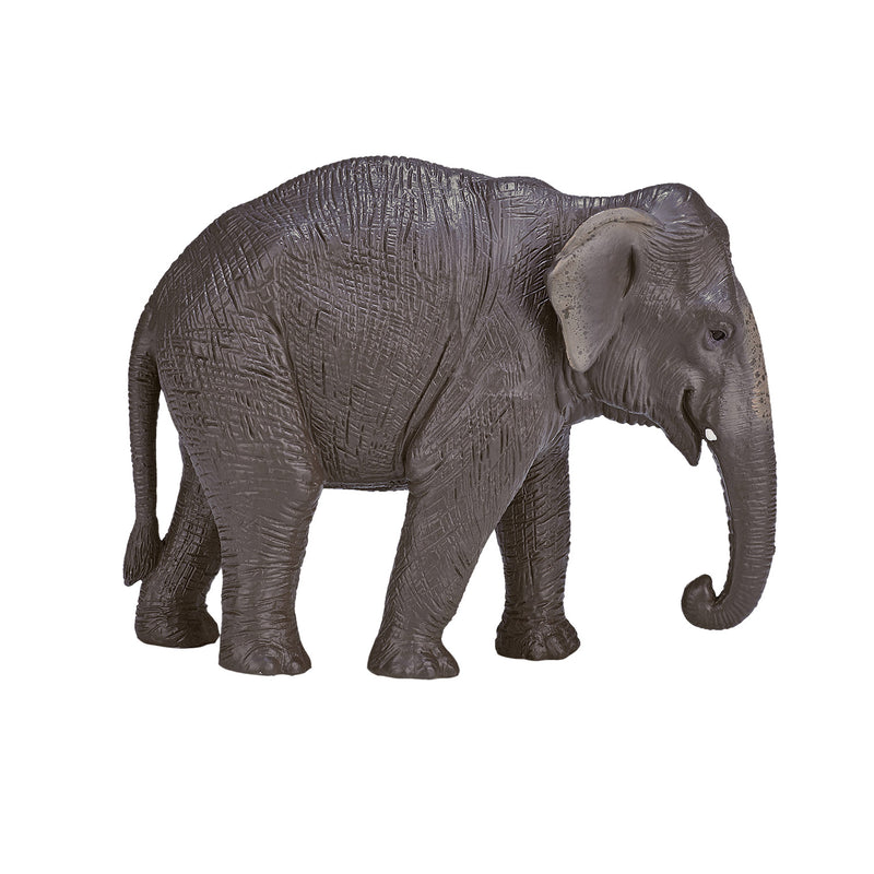 ギャラリービューアに画像をロードする, Mojo wildlife aziatische olifant - 387266