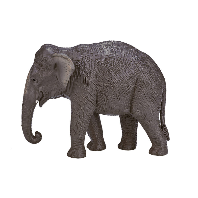 ギャラリービューアに画像をロードする, Mojo wildlife aziatische olifant - 387266