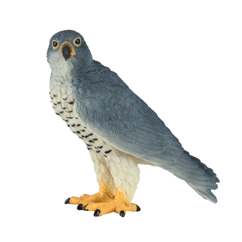 ギャラリービューアに画像をロードする, Mojo wildlife slechtvalk - 381056