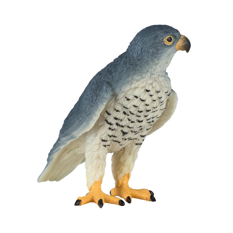 ギャラリービューアに画像をロードする, Mojo wildlife slechtvalk - 381056