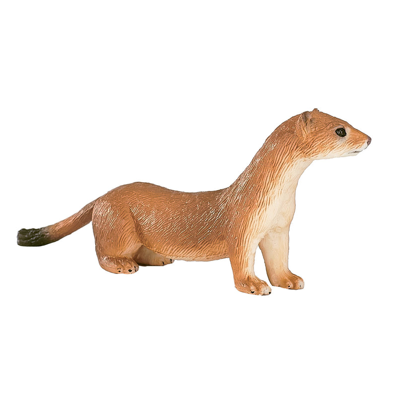 ギャラリービューアに画像をロードする, Mojo wildlife hermelijn - 387187