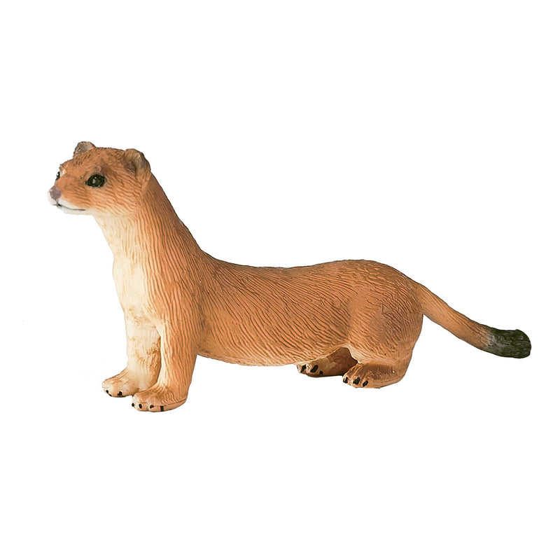 ギャラリービューアに画像をロードする, Mojo wildlife hermelijn - 387187
