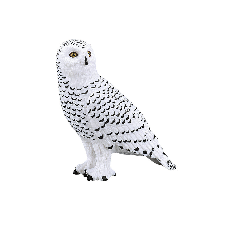 ギャラリービューアに画像をロードする, Mojo wildlife sneeuwuil - 387201