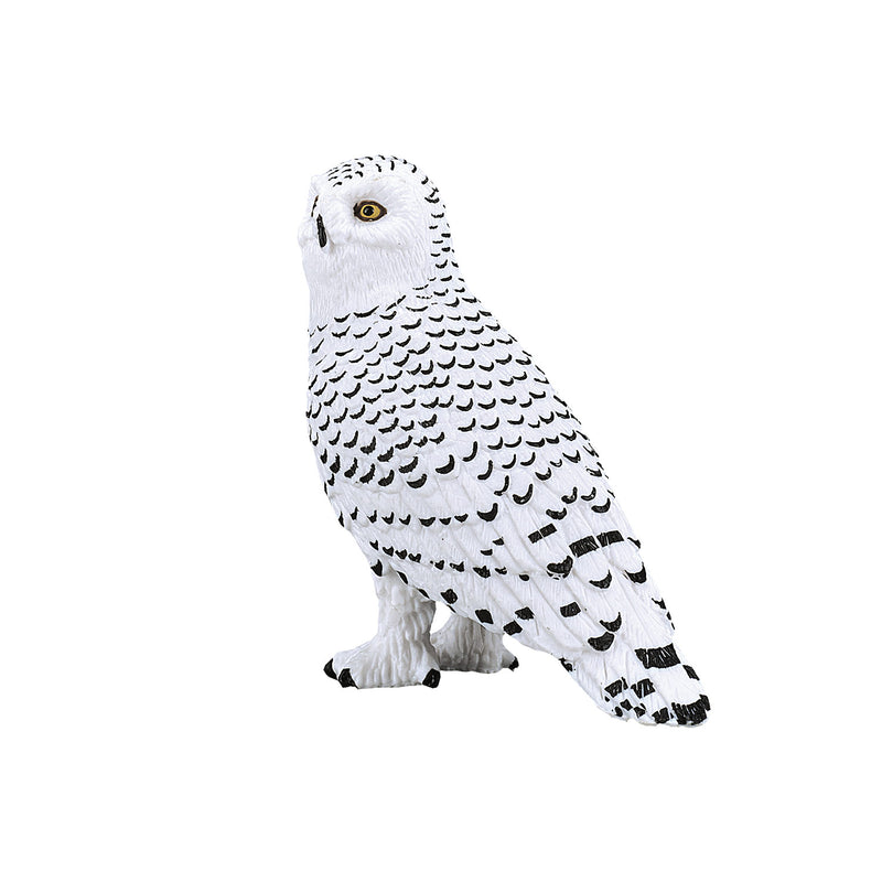 ギャラリービューアに画像をロードする, Mojo wildlife sneeuwuil - 387201