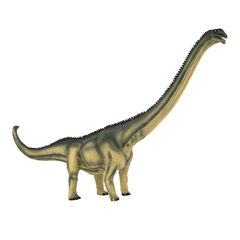 Load image into Gallery viewer, Mojo Prehistorie Deluxe Mamenchisaurus 387387