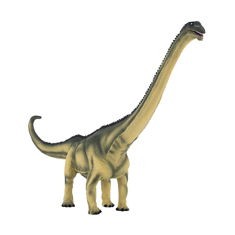 Load image into Gallery viewer, Mojo prehistorie deluxe mamenchisaurus - 387387