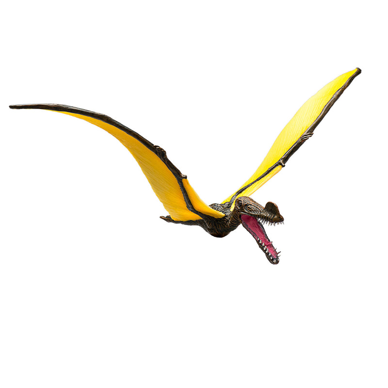 Laden Sie das Bild in Galerie -Viewer, Mojo prehistorie tropeognathus - 387375