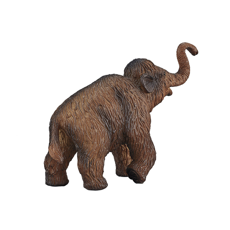 Load image into Gallery viewer, Mojo prehistorie wolharige mammoetkalf - 387050